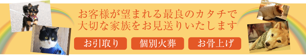 お客様が望まれる最良のカタチで大切な家族をお見送りいたします。 お引取り 個別火葬 お骨上げ