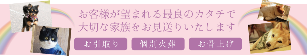 お客様が望まれる最良のカタチで大切な家族をお見送りいたします。 お引取り 個別火葬 お骨上げ